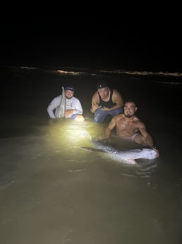 Tiger Shark Fishing in Corpus Christi, Texas