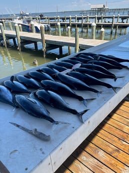 Fishing in Gulf Shores, Alabama