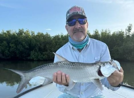 Tarpon Fishing in Charlotte Harbor, Florida