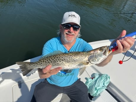 Fishing in St. Petersburg, Florida