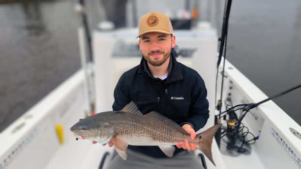 Redfish Fishing in Jacksonville, Florida
