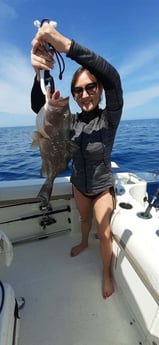 Fishing in Sarasota, Florida