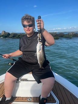 Speckled Trout / Spotted Seatrout fishing in Little River, South Carolina