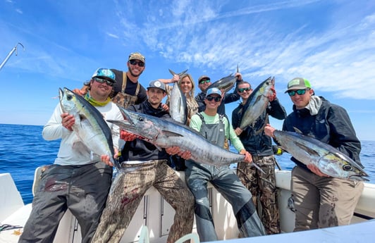 Blackfin Tuna, Wahoo fishing in Charleston, South Carolina
