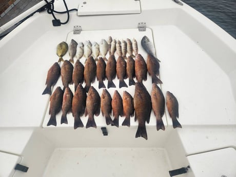 Fishing in Pensacola, Florida