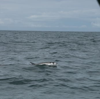 Tarpon Fishing in
