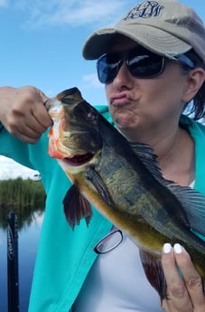 Peacock Bass fishing in Fort Lauderdale, Florida