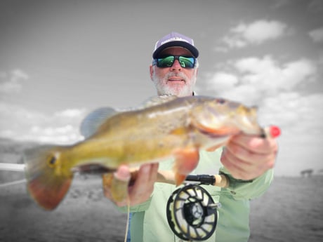 Fishing in Fort Lauderdale, Florida