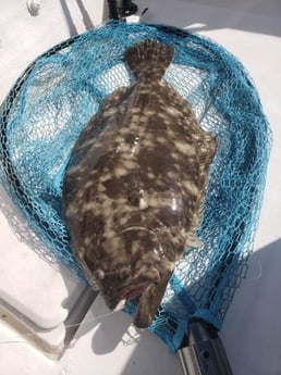 Flounder fishing in Jacksonville Beach, Florida