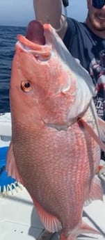 Fishing in Tierra Verde, Florida