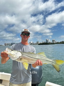 Fishing in Sarasota, Florida
