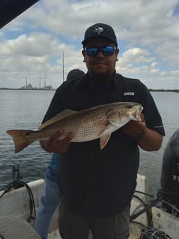 Redfish Fishing in San Antonio, Texas