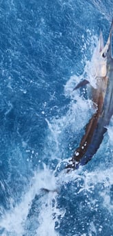 Fishing in Zephyrhills, Florida