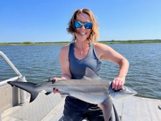 Thresher Shark Fishing in New Orleans, Louisiana