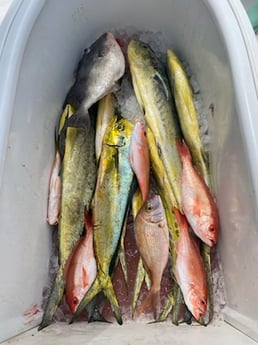 Fishing in Port Orange, Florida