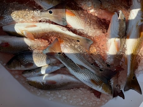 Fishing in Buras, Louisiana