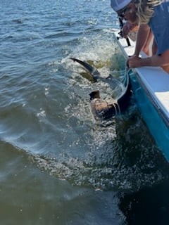 Fishing in Pensacola, Florida