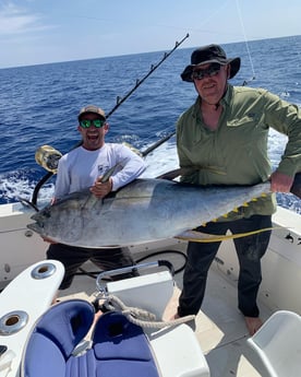Yellowfin Tuna fishing in Kailua-Kona, Hawaii