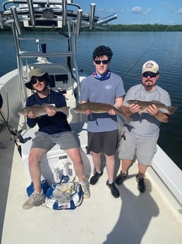 Redfish Fishing in Bradenton, Florida