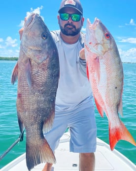 Mangrove Snapper, Mutton Snapper fishing in Tavernier, Florida