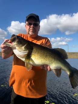Largemouth Bass Fishing in Delray Beach, Florida