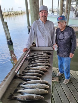 Speckled Trout / Spotted Seatrout fishing in Freeport, Texas