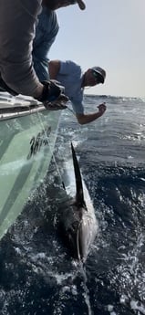 Fishing in Galveston, Texas