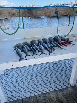 Fishing in Spanish Fort, Alabama