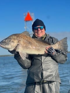 Black Drum Fishing in Boothville, Louisiana, USA