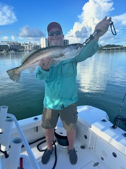 Fishing in Orange Beach, Alabama
