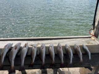 Redfish Fishing in Rockport, Texas