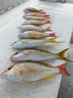 Fishing in Key West, Florida