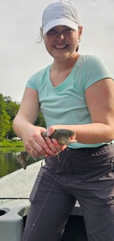 Rainbow Trout Fishing in Broken Bow, Oklahoma