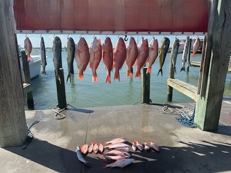 Fishing in Port Aransas, Texas