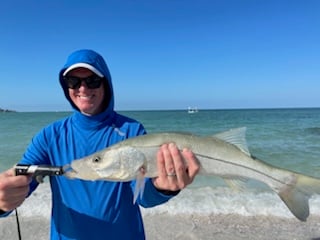 Fishing in Sarasota, Florida