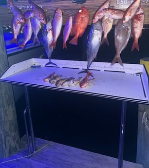 Fishing in Destin, Florida
