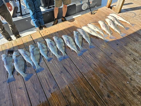 Fishing in South Padre Island, Texas