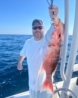 Red Snapper fishing in Panama City, Florida