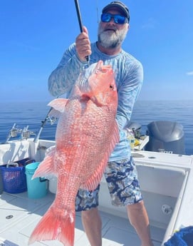 Red Snapper Fishing in Clearwater, Florida