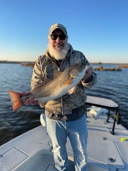 Redfish Fishing in Shell Beach, Louisiana