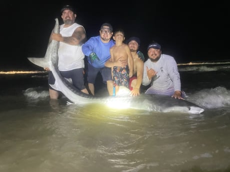 Tiger Shark Fishing in Corpus Christi, Texas