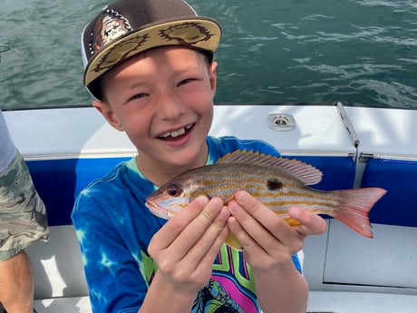Lane Snapper Fishing in West Palm Beach, Florida