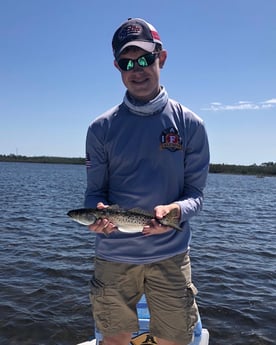 Speckled Trout / Spotted Seatrout fishing in Hudson, Florida