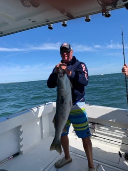 Striped Bass fishing in Montauk, New York