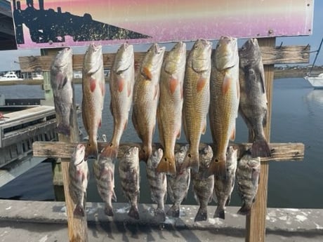 Fishing in Rockport, Texas
