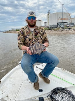 Sheepshead Fishing in Port Arthur, Texas