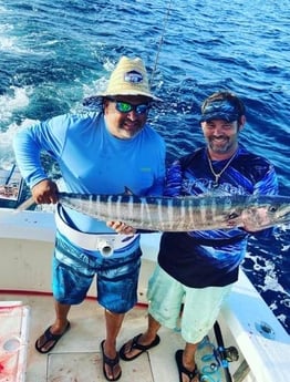 Wahoo Fishing in Pompano Beach, Florida