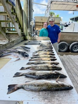 Fishing in Lacombe, Louisiana