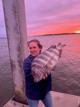 Sheepshead fishing in Johns Island, South Carolina
