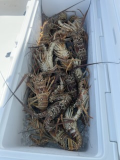 Fishing in Tavernier, Florida